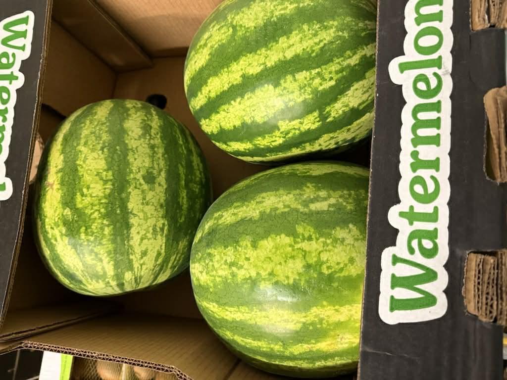Zestaw świeżych owoców sezonowych przygotowanych do wysyłki